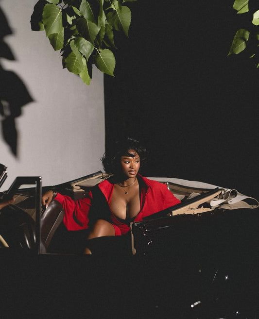 LSJ - Short Red Dress